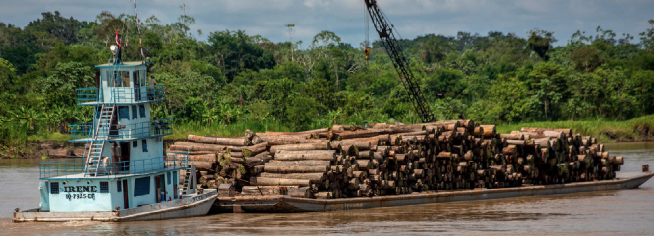 Logging