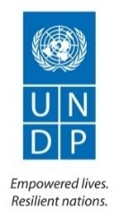 undp
